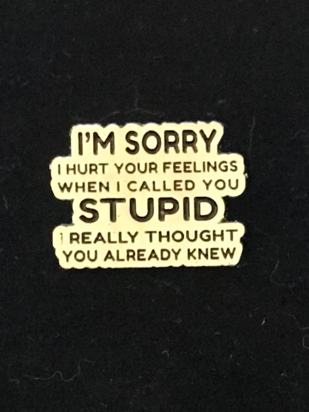 NWOT “I’m sorry I hurt your feelings…” pin (pins: 1/$12, 2/$20)
